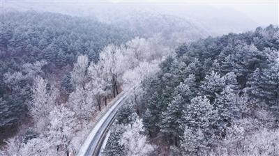 儿童孤独症属于重大疾病还是慢性病？游戏画面